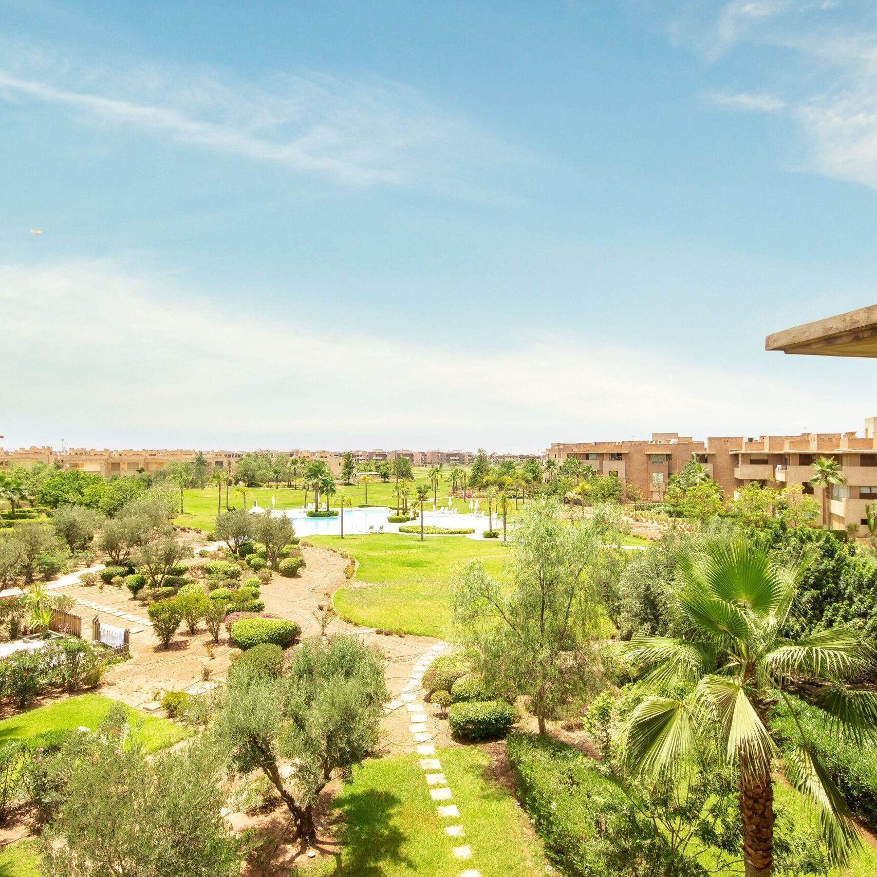 A green landscape has palms and greenery on a sunny day with a swimming pool in the background in Marrakech